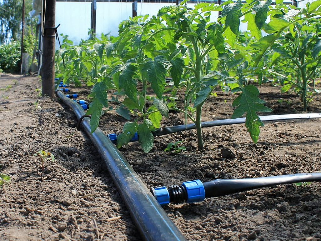 ПЭ трубы для капельного орошения